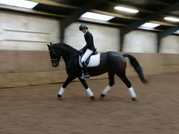 Billede