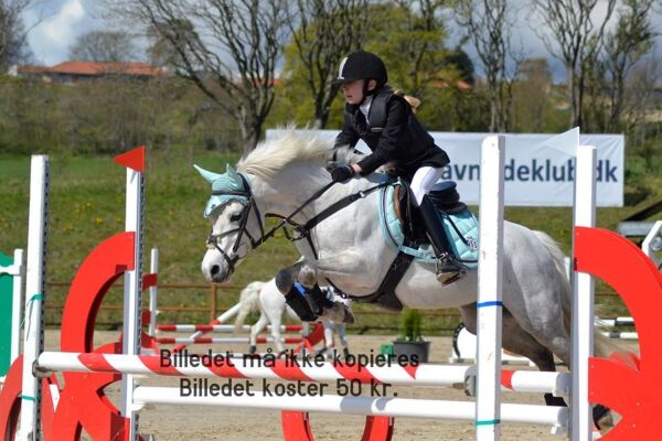 Billede