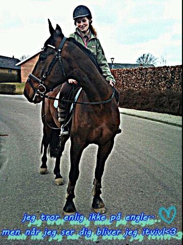 Billede