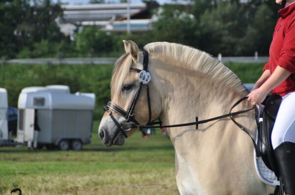 Billede