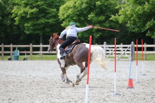 Billede