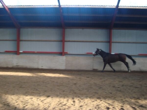 Billede