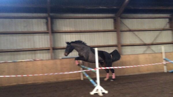 Billede