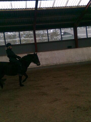 Billede