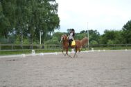 Billede