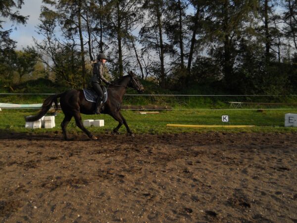 Billede
