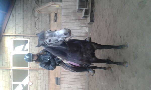 Billede