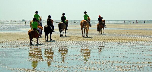 Billede