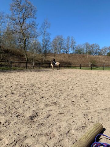 Billede