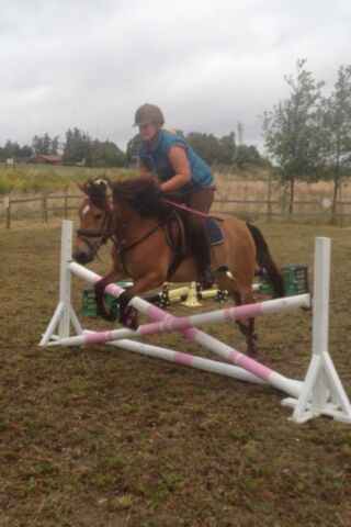 Billede