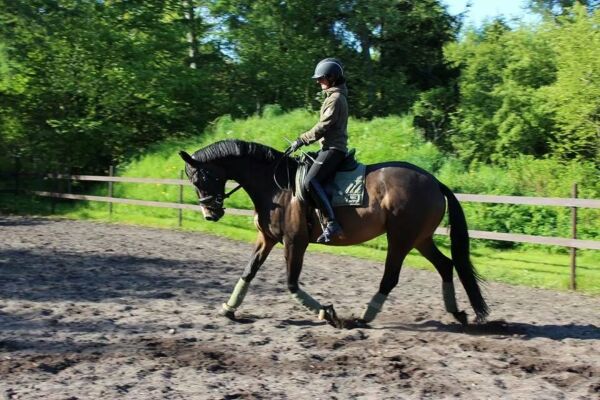 Billede