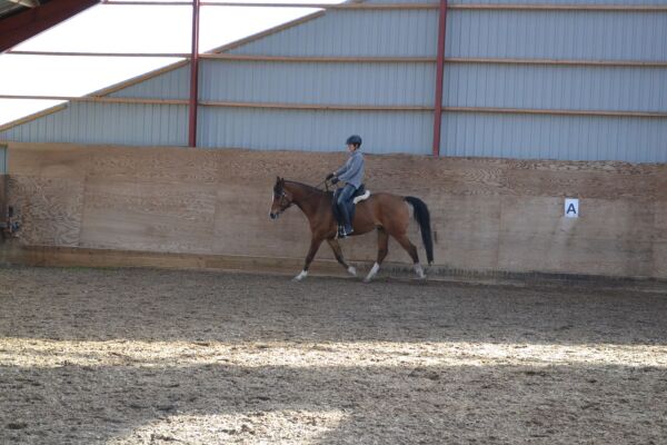 Billede