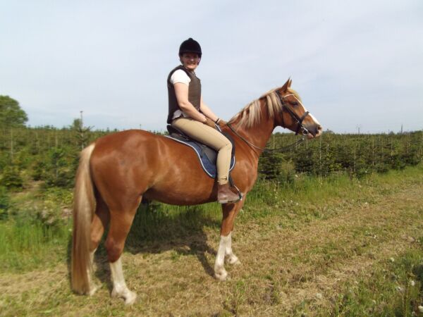 Billede
