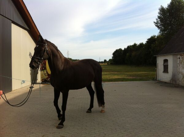 Billede