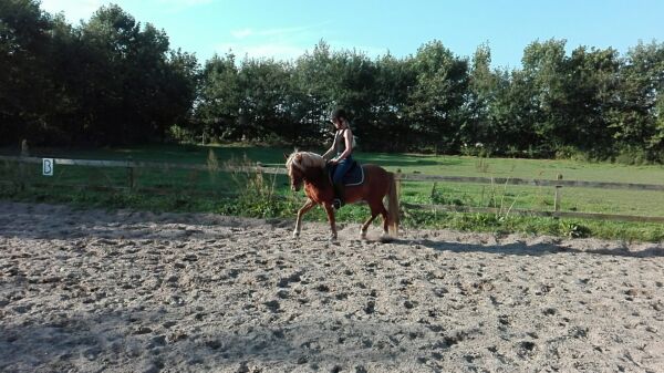 Billede