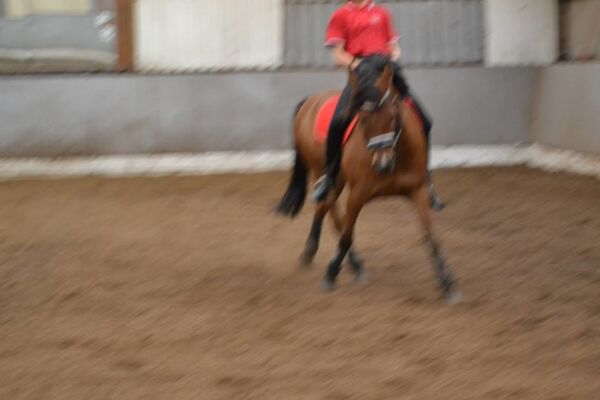 Billede