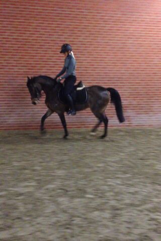 Billede