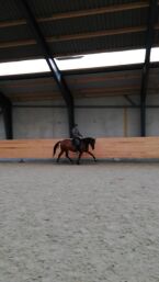 Billede