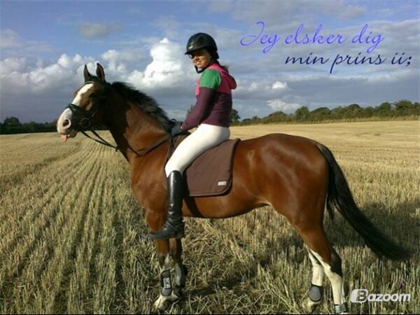 Billede