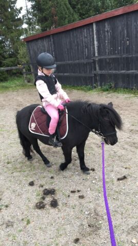 Billede