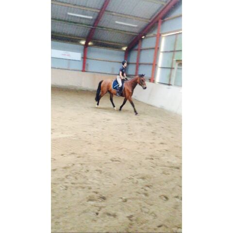 Billede