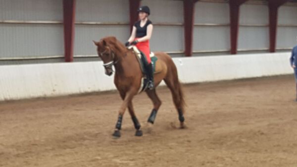 Billede