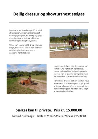 Billede