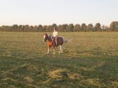 Billede