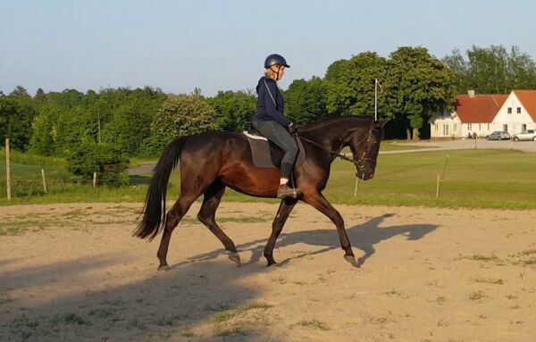 Billede
