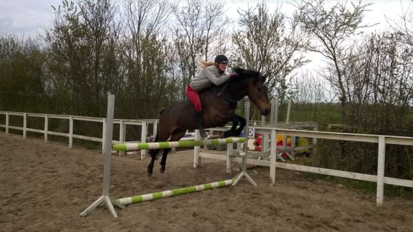 Billede