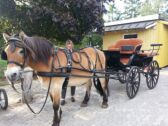 Billede