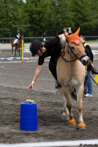 Billede