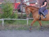 Billede
