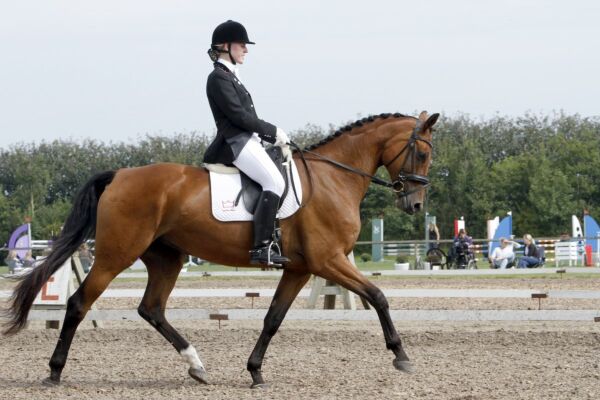 Billede