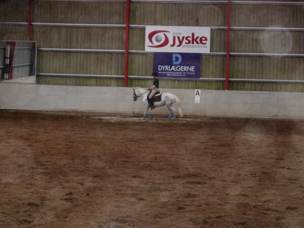 Billede