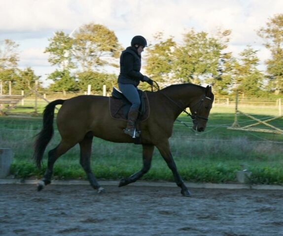 Billede