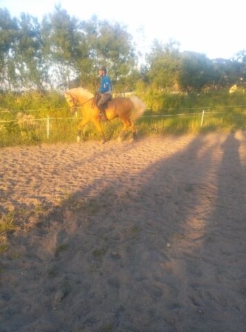 Billede