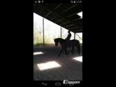 Billede