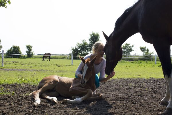 Billede
