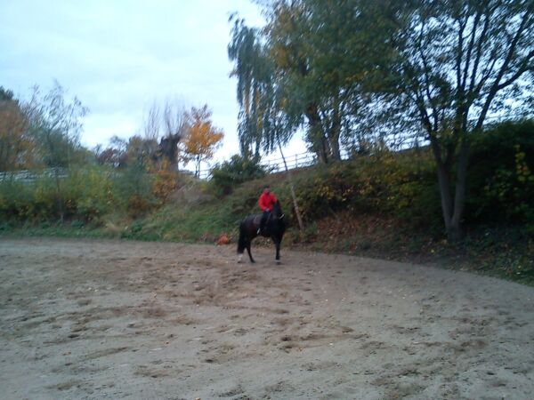 Billede