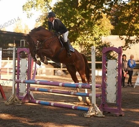 Billede