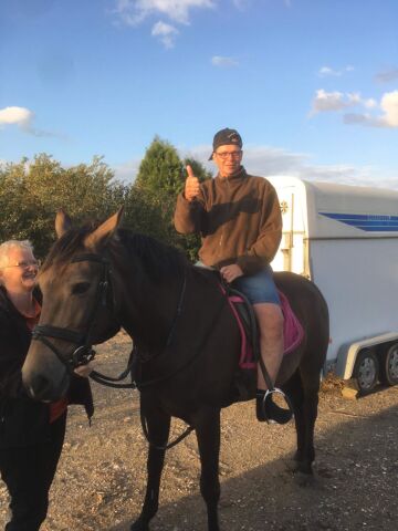 Billede