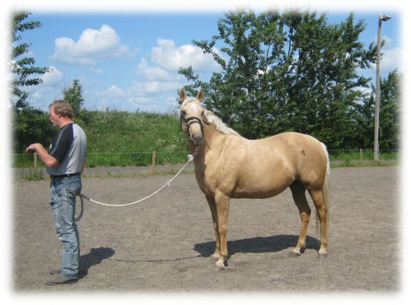 Billede