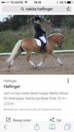 Billede