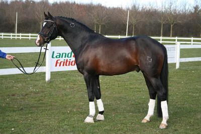 Billede