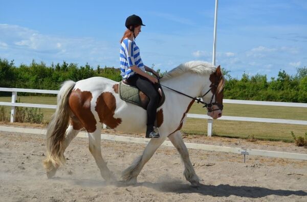 Billede