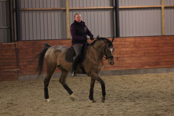 Billede