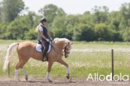 Billede