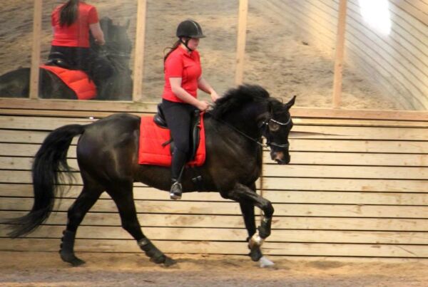 Billede