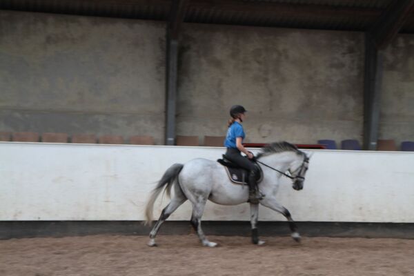 Billede